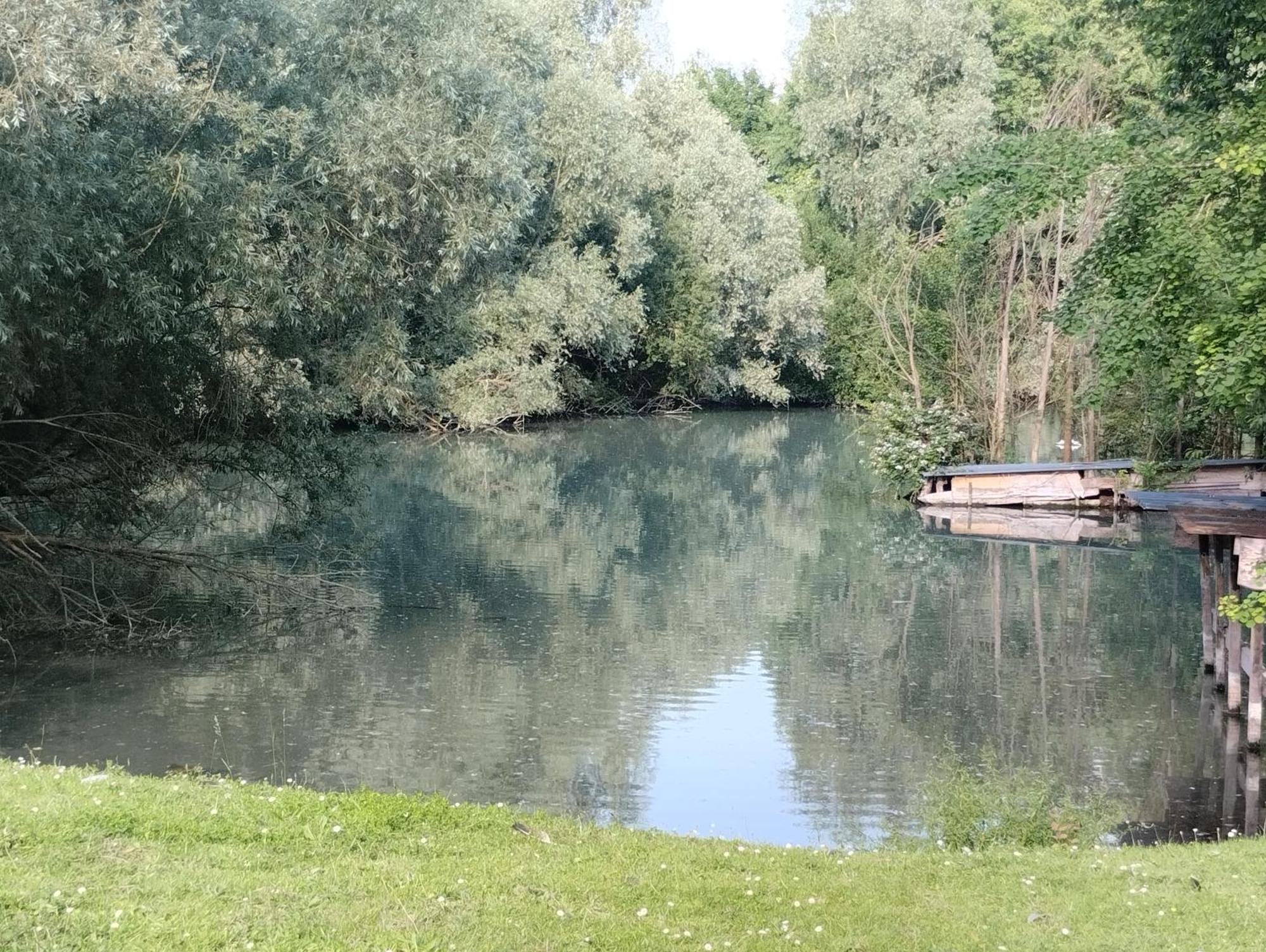 Haras De La Ressee Agnez-les-Duisans エクステリア 写真
